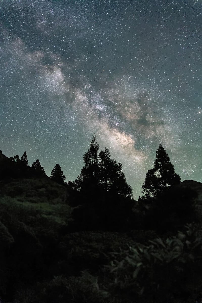 Elf Haven Image